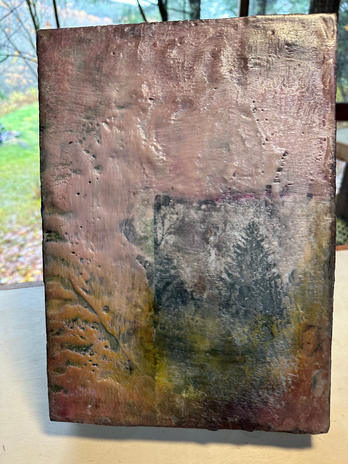 honeypine trees dreaming of fall