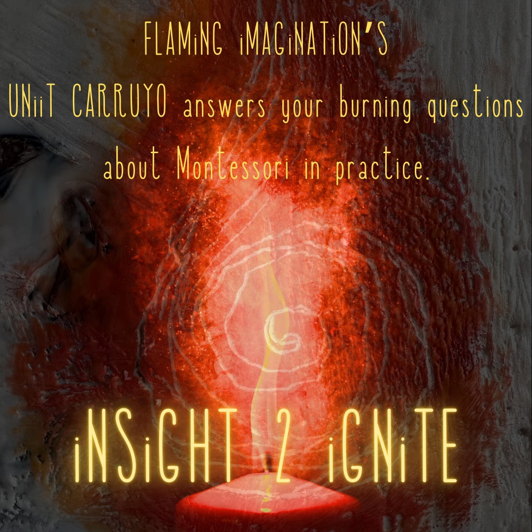 ️🔥 iNSiGHT 2 iGNiTE: Montessori guides ask their burning questions ...
